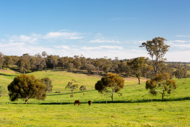 Where is Castlemaine